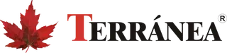 Seguro dental Terránea